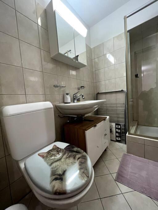 Appartamento Lovely 2 Bedrooms In Platz, *